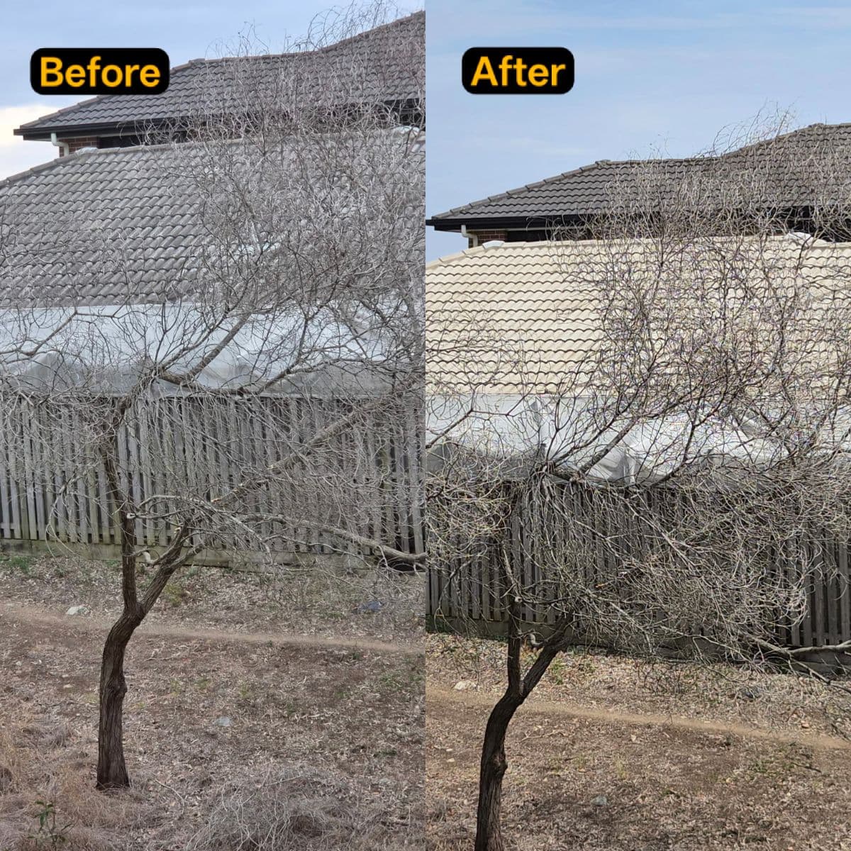 Gold Class Pressure Washing work 3