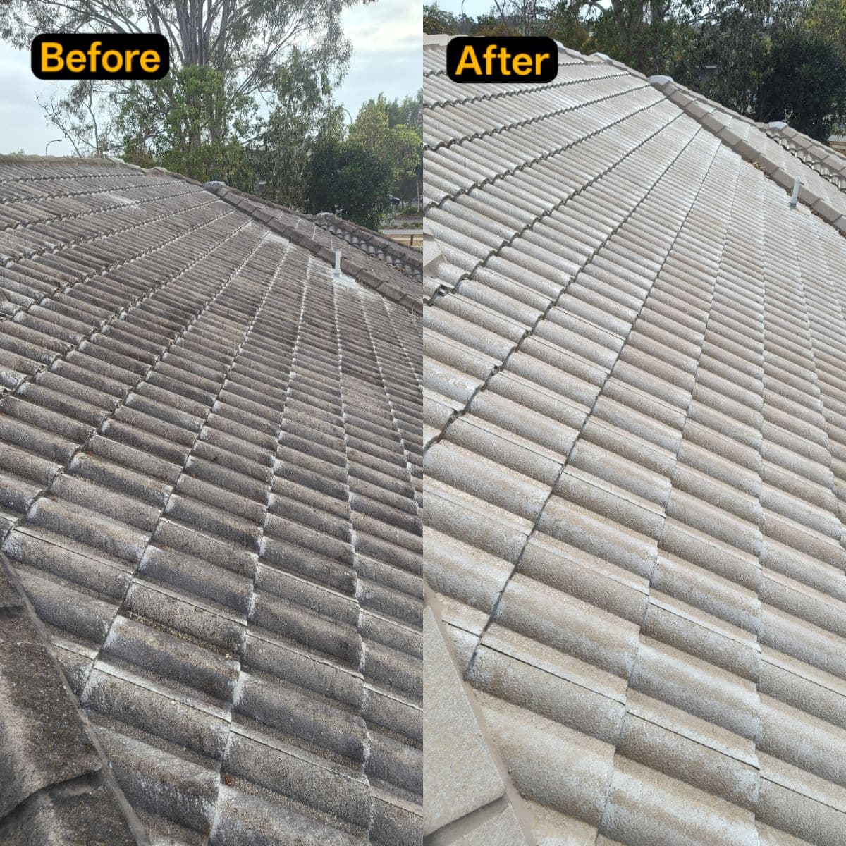 Gold Class Pressure Washing work 7