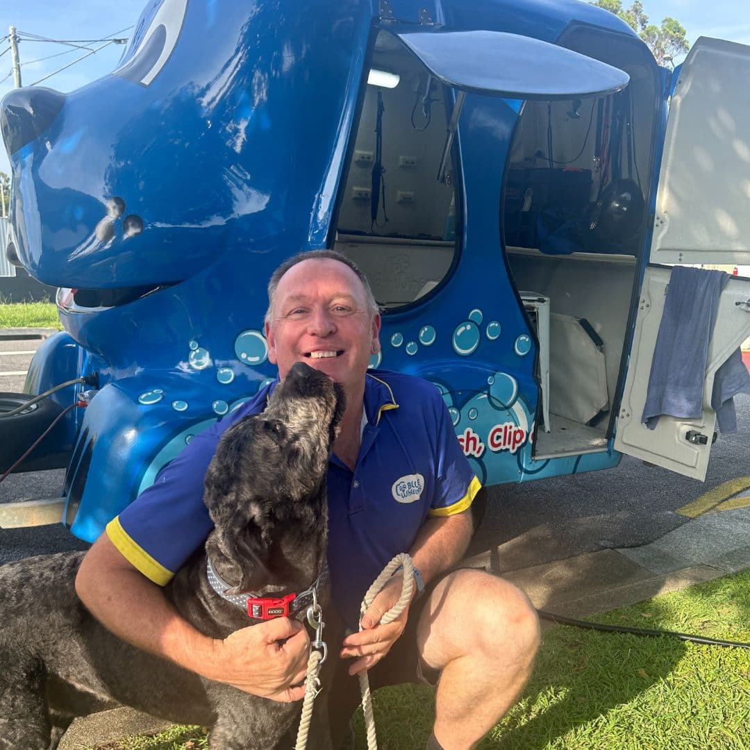 Blue Wheelers Nundah — Mobile Dog Grooming cover